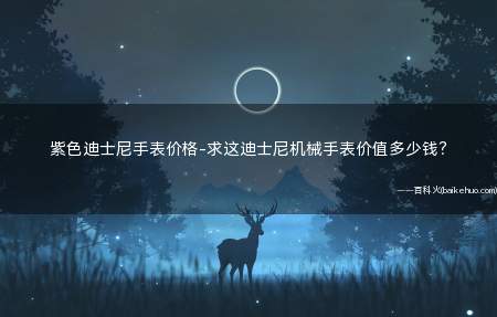 紫色迪士尼手表价格-求这迪士尼机械手表价值多少钱?