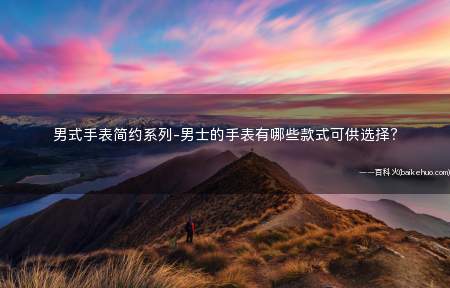 男式手表简约系列-男士的手表有哪些款式可供选择?