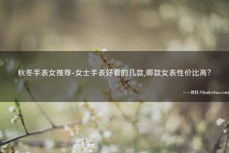 秋冬手表女推荐-女士手表好看的几款,哪款女表性价比高?