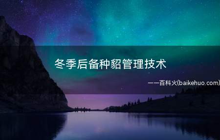 冬季后备种貂管理技术