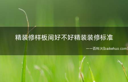 精装修样板间好不好精装装修标准(精装修样板间怎么样很多人看过万)