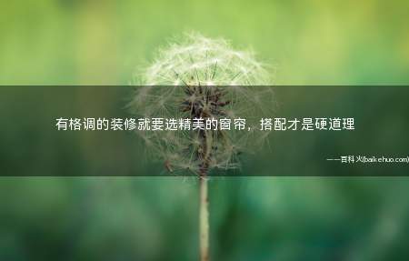 有格调的装修就要选精美的窗帘,搭配才是硬道理