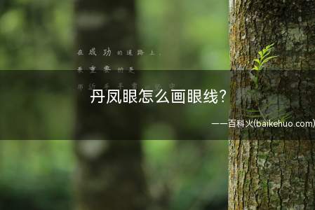 用棕色系眼影最淡色涂满眼盖丹凤眼怎么画眼线