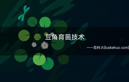 豆角育苗技术(豆角该怎么育苗这几点要注意)