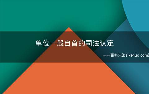 单位一般自首的司法认定(单位投案人是否代表单位的整体意志)