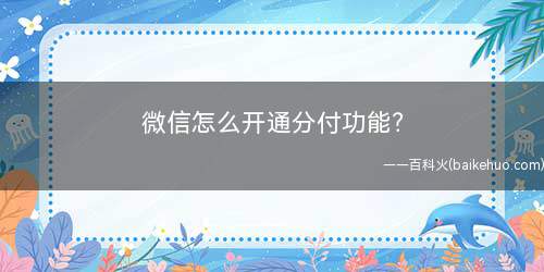 微信怎么开通分付功能?