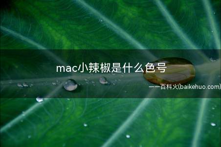 mac小辣椒是什么色号 mac口红小辣椒试色