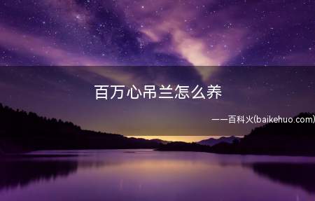 百万心吊兰怎么养(养殖好百万心吊兰就要做好光照、温度、浇水、施肥养护措施)