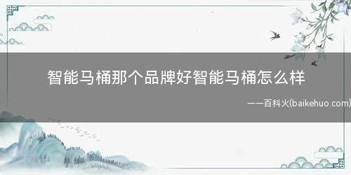 智能马桶那个品牌好智能马桶怎么样(智能马桶哪个品牌好清洗)