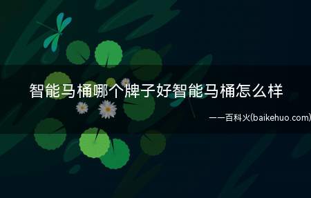 智能马桶哪个牌子好智能马桶怎么样(智能马桶哪个牌子好)