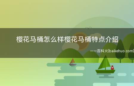 樱花马桶怎么样樱花马桶特点介绍(樱花马桶怎么样之特点)