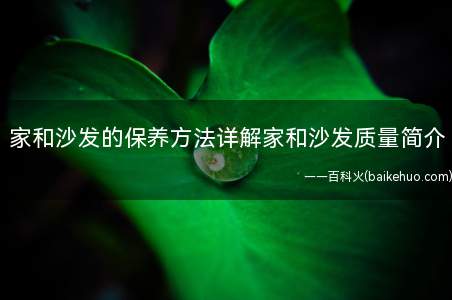 家和沙发的保养方法详解家和沙发质量简介(家和沙发的保养方法)
