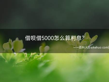借呗借5000怎么算利息?