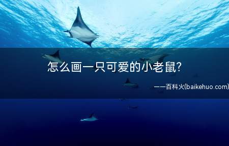 怎么画一只可爱的小老鼠?