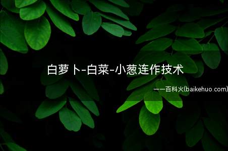 白萝卜-白菜-小葱连作技术(利用塑料小拱棚春季种植)