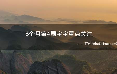 6个月第4周宝宝重点关注