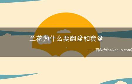 兰花为什么要翻盆和套盆