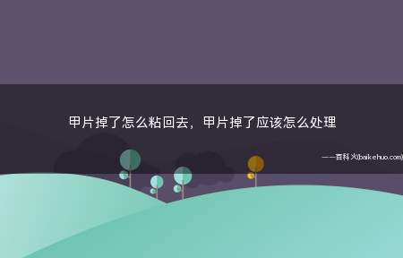 甲片掉了怎么粘回去,甲片掉了应该怎么处理