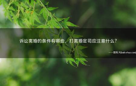 诉讼离婚的条件有哪些,打离婚官司应注意什么?