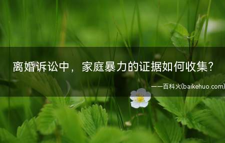 离婚诉讼中,家庭暴力的证据如何收集(妇联投诉过家庭成员的施暴行为有哪些)