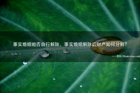 事实婚姻能否自行解除,事实婚姻解除后财产如何分割?