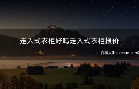 走入式衣柜好吗走入式衣柜报价(走入式衣柜好吗)