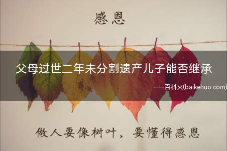 父母过世二年未分割遗产儿子能否继承(小儿子的起诉是否超过诉讼时效问题)