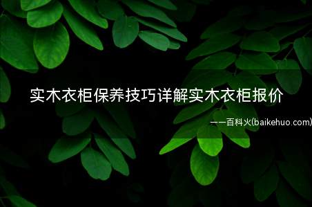 实木衣柜保养技巧详解实木衣柜报价(欧实木衣柜保养技巧详解)