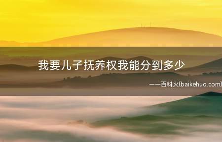 我要儿子抚养权我能分到多少