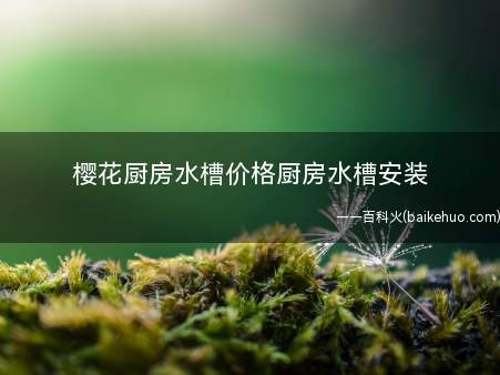 樱花厨房水槽价格厨房水槽安装