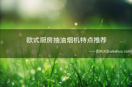 欧式厨房抽油烟机特点推荐
