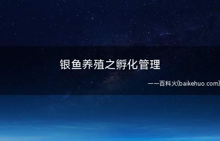 银鱼养殖之孵化管理