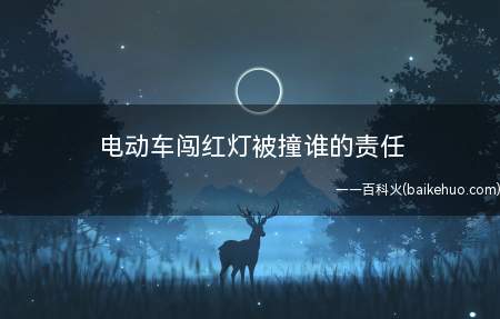 电动车闯红灯被撞谁的责任(交通事故责任如何划分)
