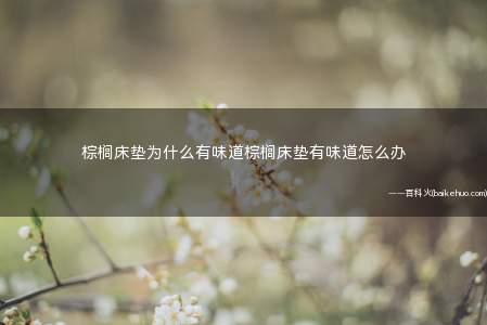 棕榈床垫为什么有味道棕榈床垫有味道怎么办