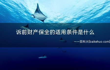 诉前财产保全的适用条件是什么(诉前财产保全的适用条件)