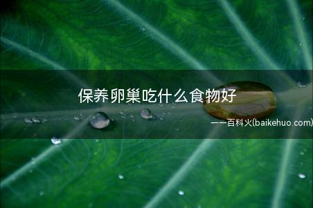保养卵巢吃什么食物好保养