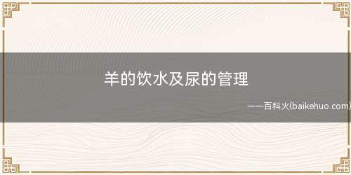 羊的饮水及尿的管理