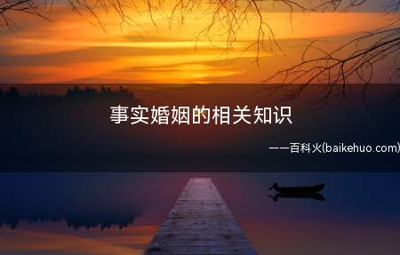事实婚姻的相关知识(适用《中华人民共和国婚姻法》若干问题的解释)