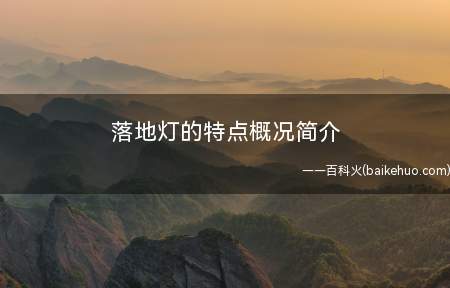 落地灯的特点概况简介