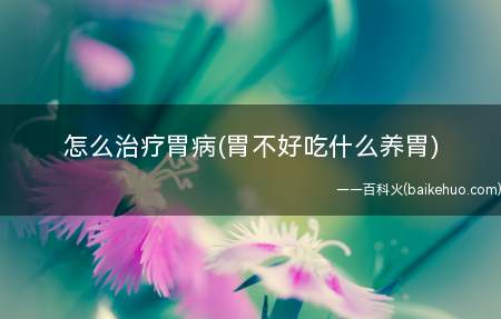 怎么治疗胃病(胃不好吃什么养胃)