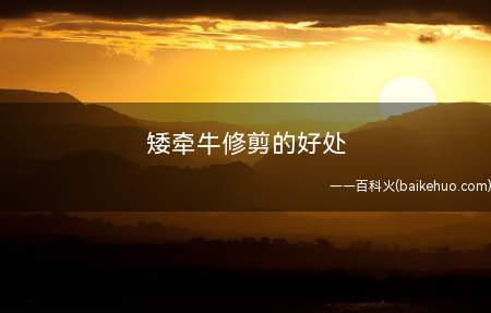 矮牵牛修剪的好处