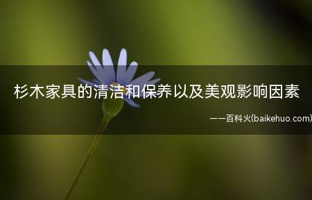 杉木家具的清洁和保养以及美观影响因素(杉木家具的清洁和保养有哪些)