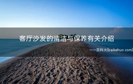 客厅沙发的清洁与保养有关介绍(客厅沙发如何保养清洁与保养有关介绍)
