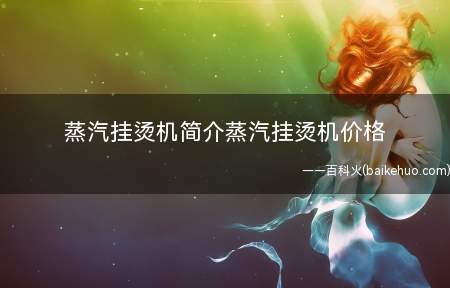 蒸汽挂烫机简介蒸汽挂烫机价格(好衣服用挂式蒸气烫机熨是最理想的选择)