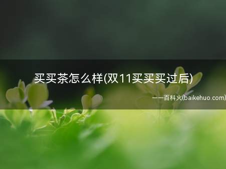 买买茶怎么样(双11买买买过后)(你爱喝白茶的时候遇到过类似的困扰吗)