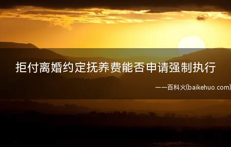 拒付离婚约定抚养费能否申请强制执行(法院能否强制执行离婚协议)