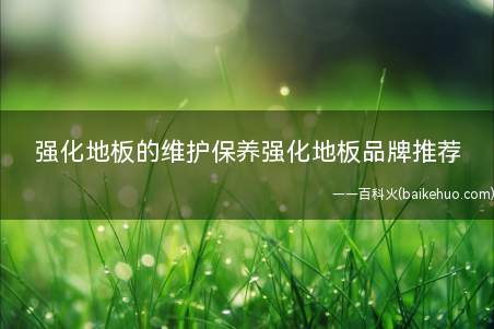 强化地板的维护保养强化地板品牌推荐(强化地板的维护保养)