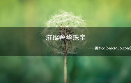 璀璨奢华珠宝 绽放花朵之间