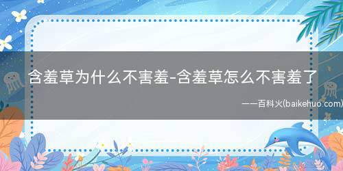 含羞草为什么不害羞-含羞草怎么不害羞了(为什么我家的含羞草最近不管怎么摸都不动了)