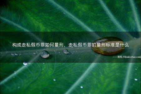 构成走私假币罪如何量刑,走私假币罪的量刑标准是什么